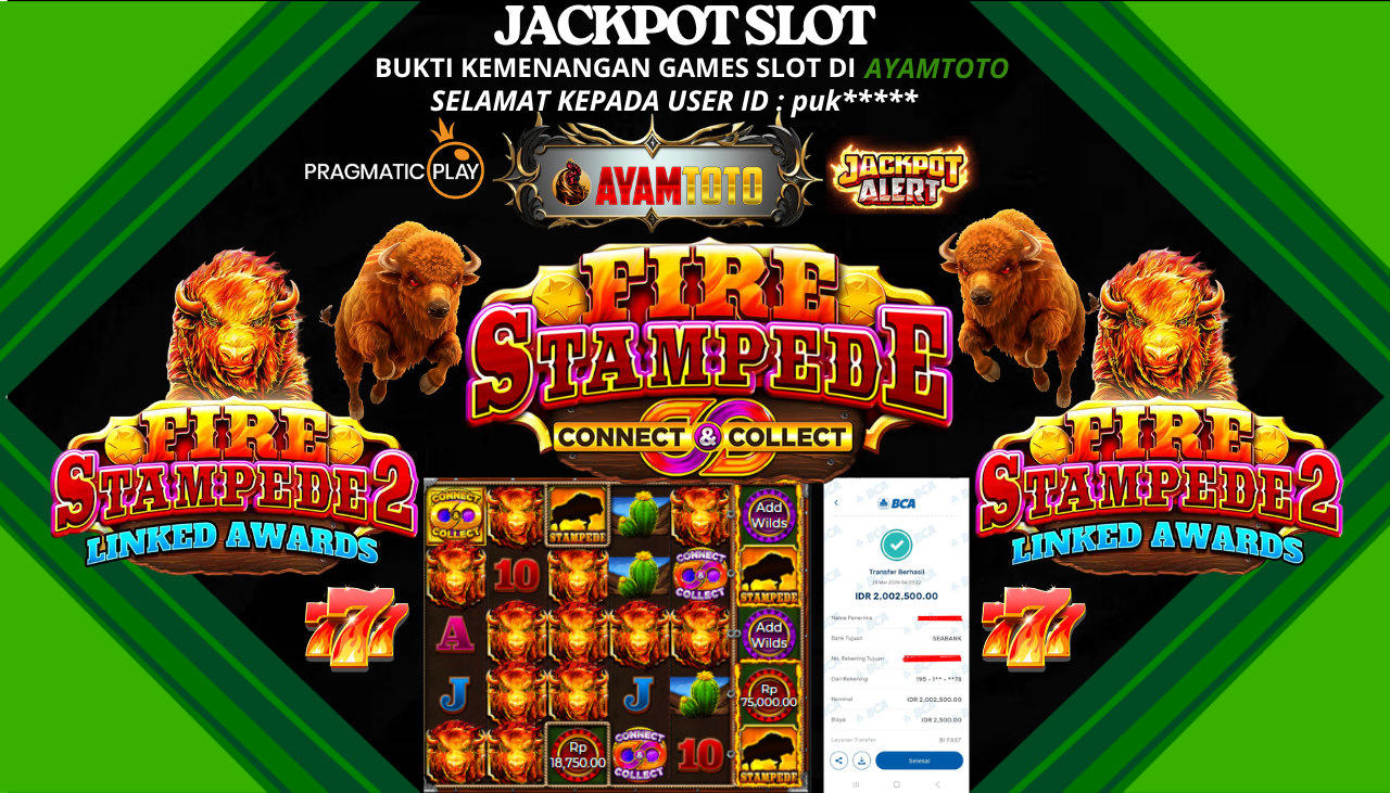 BUKTI JACKPOT PLAYER AYAMTOTO