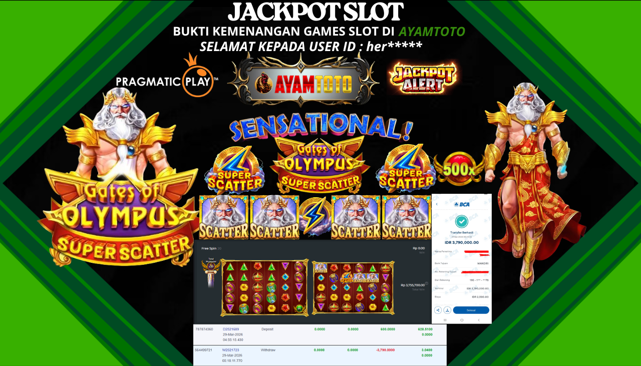 BUKTI JACKPOT PLAYER AYAMTOTO
